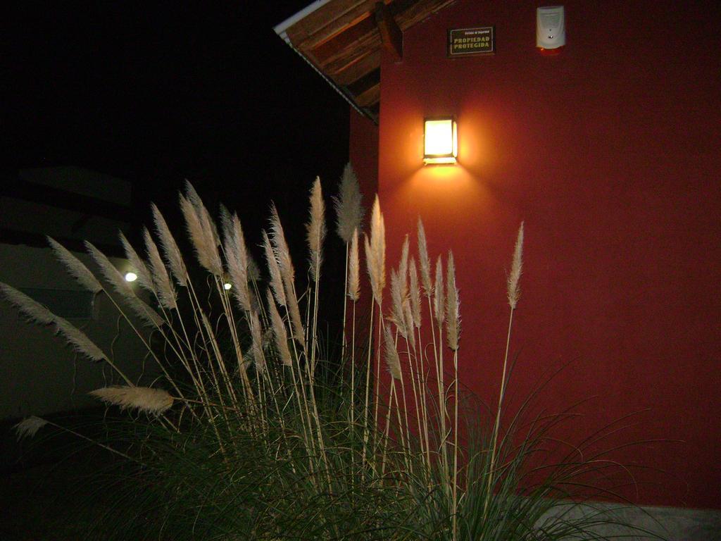 La Gringa, Un Espacio Unico En El Medio Del Bosque Villa Mar de Las Pampas Buitenkant foto