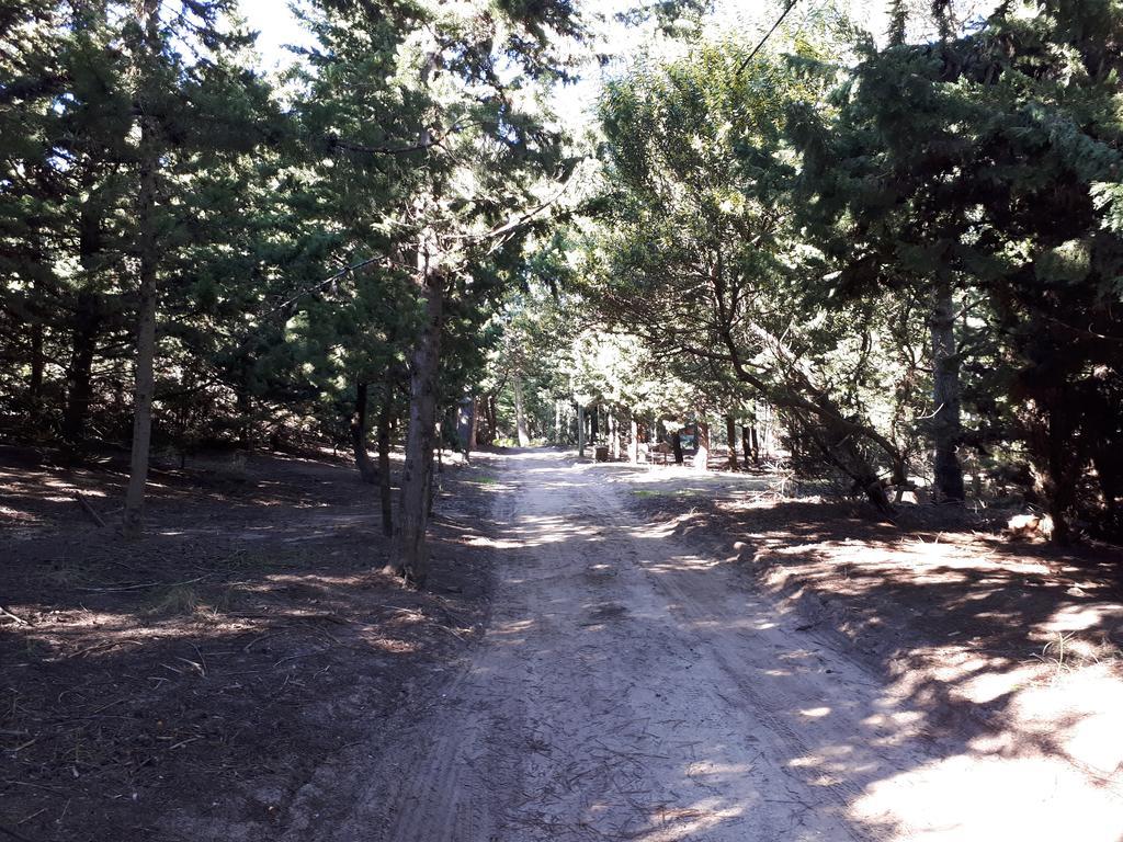 La Gringa, Un Espacio Unico En El Medio Del Bosque Villa Mar de Las Pampas Buitenkant foto