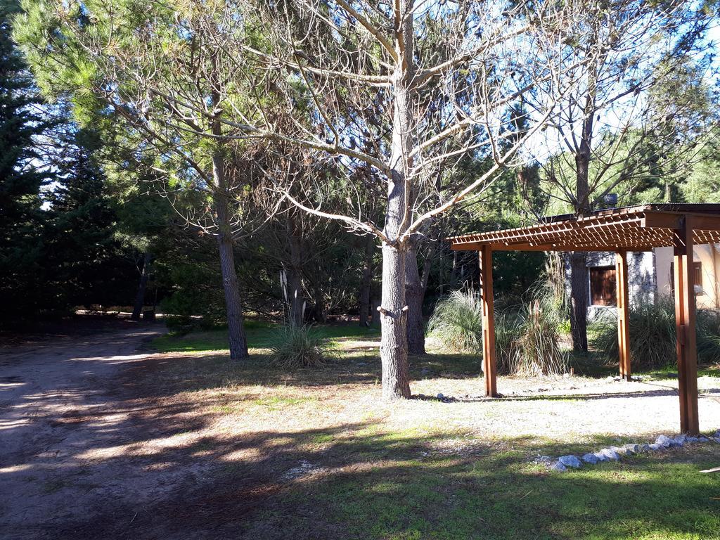 La Gringa, Un Espacio Unico En El Medio Del Bosque Villa Mar de Las Pampas Buitenkant foto